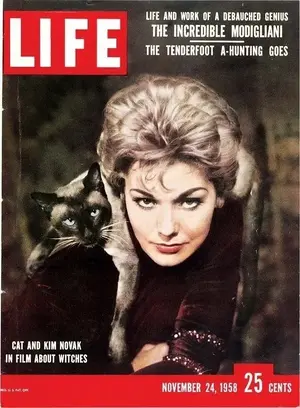 pyewacket-familiar-spirit-de43d74c-3588-4dab-9841-3e32bd8c648-resize-750.webp
