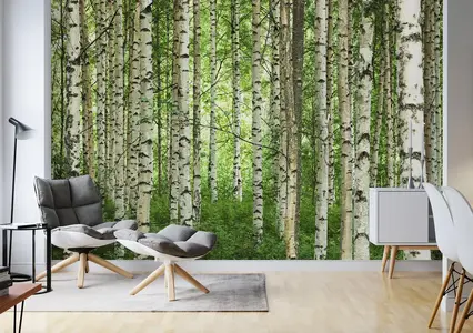 forest.webp