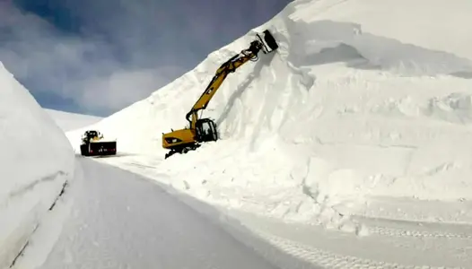 snow.webp