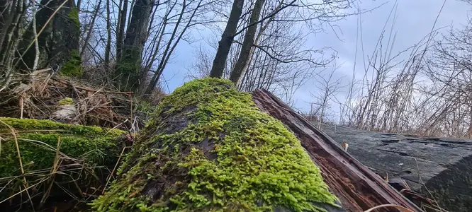20231228_142609.webp