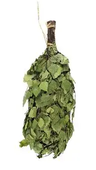 birch.png