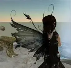 images (4).webp