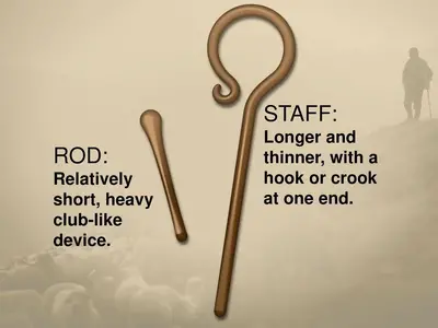 Rod-and-staff.webp