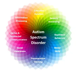 what-is-autism-spectrum-disorder.webp