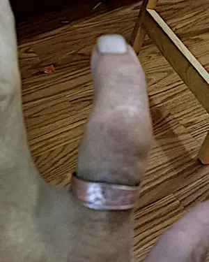 finger.webp