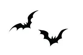 Bat thoughts