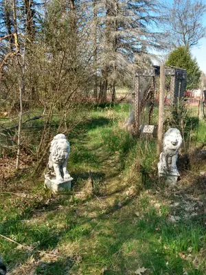 IMG_20250512_101551667_HDR.webp