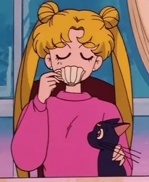 sailormoos.webp