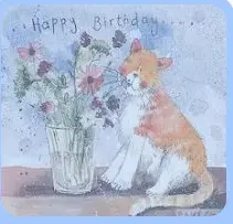 1748793283223.webp