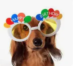 1751734285779.webp