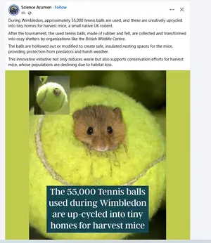 1751837561123.webp