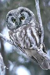 1000004914.webp