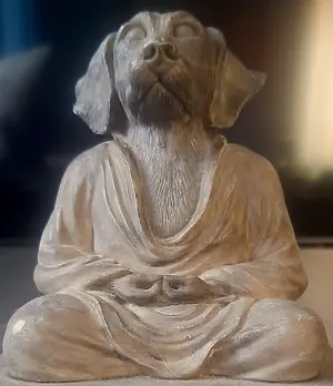07-13-2025 Meditative Dog.3.webp
