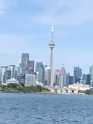 cruise 5.webp