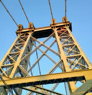 1000005246.webp