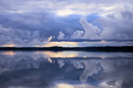 32607233038_a6a2c73080_o.webp