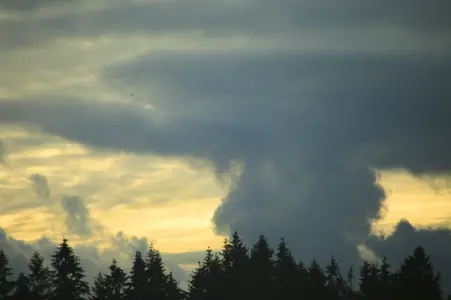 39661667193_d26ec8361e_o.webp