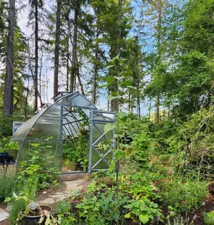 greenhouse.webp