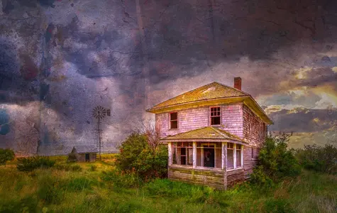 Down but not out yet, Old Homestead, Hwy 23 SE of Vulcan, AB, 2025-07-27.webp
