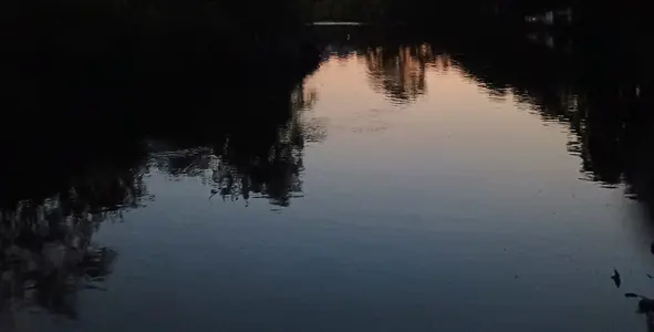 1000005509.webp