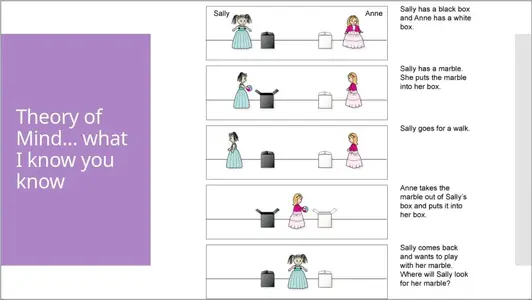 sally-anne slide.webp
