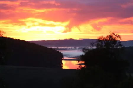 Misty Sunrise.webp