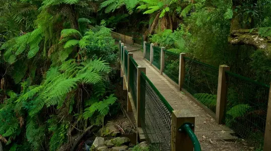 189395-Melbourne.webp