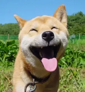 1000006209.webp