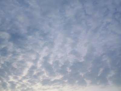 1000006673.webp