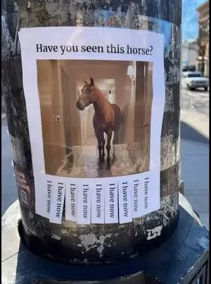 horse.webp