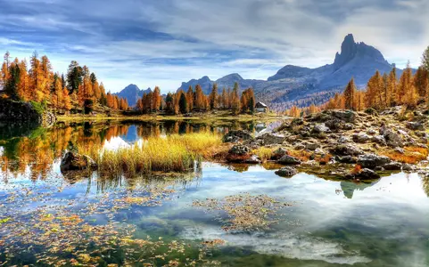 1000007125.webp