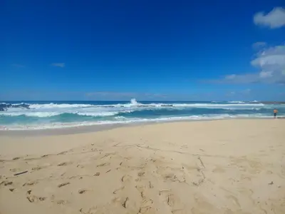 20171120_115959.webp