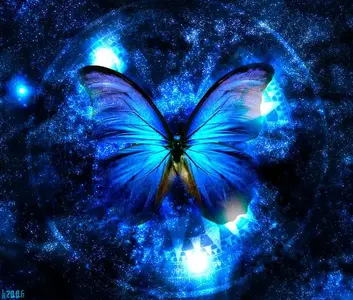 lady-and-the-butterfly.webp