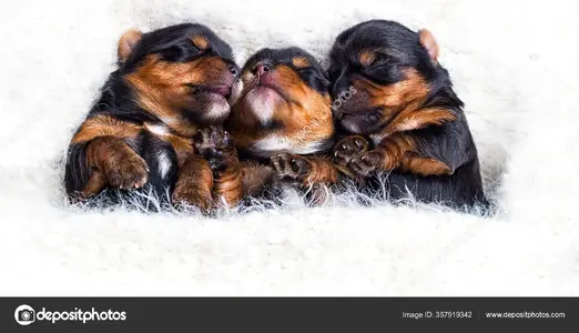 1757511950394.webp