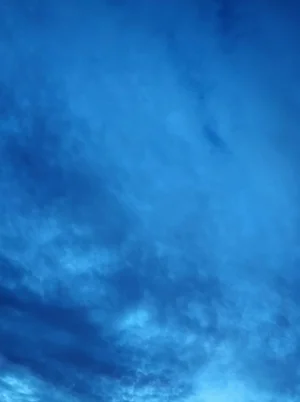 1000007865.webp