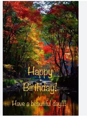 1758287003021.webp
