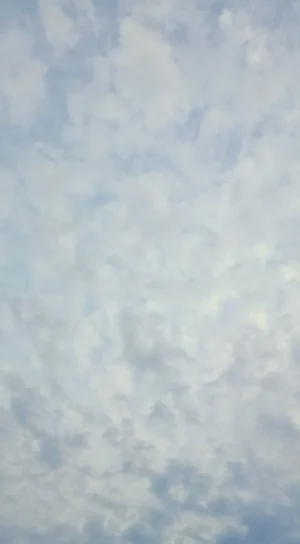 1000008201.webp