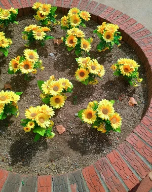 1000008305.webp