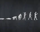 1759527344409.webp