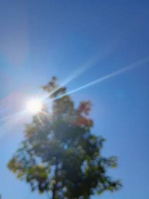 1000008690.webp
