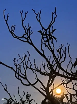 IMG_3158.webp