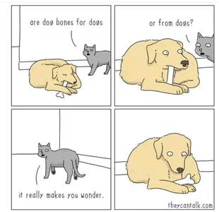 1759861832285.webp