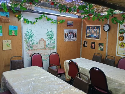 1000008736.webp