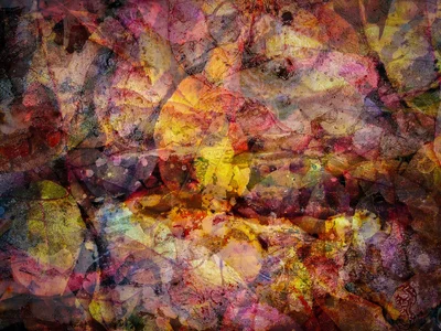 Look again, My Backyard, Strathmore, AB, 2025-11-01.webp