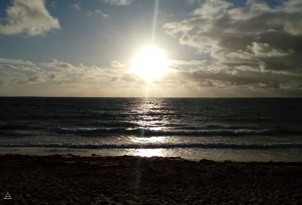 IMG_20181125_182337 (1).webp