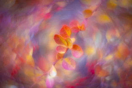 More white balance issues, Thomas Drive Pathway, Strathmore, AB, 2025-11-05.webp