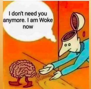 123_1(1) (2).webp 123_1(1) (2).webp