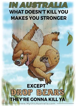 1769111591588.webp 1769111591588.webp