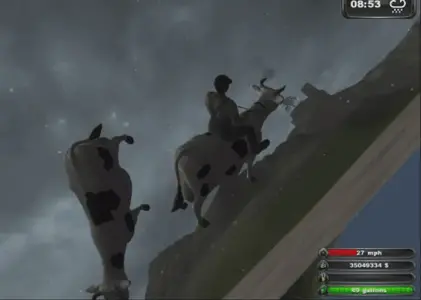 Crazy Cows.webp