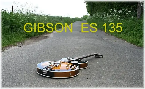 Gibson ES 135 Bild 1.webp